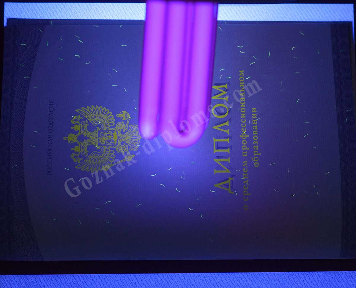 Диплом техникума или колледжа 2014-2026